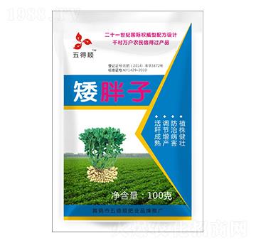 矮胖子-五得順-五德順