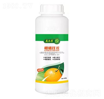 ���ٿ��L-Ӣ����