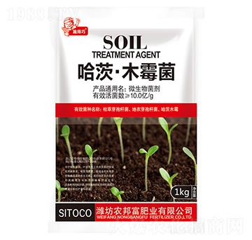 ���ġ�ľù��-�r�