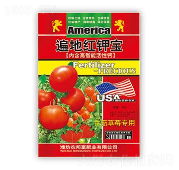 ��ؼt⛌�-�r(n��ng)�