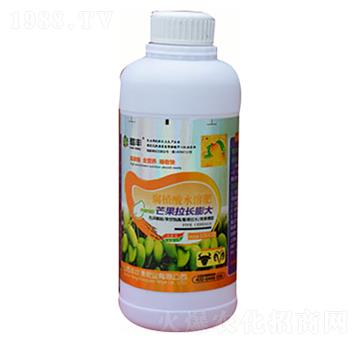 腐植酸水溶肥-芒果拉長膨大-豐收源