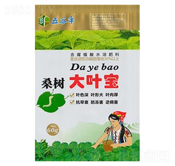 桑樹(shù)大葉寶-豐收源