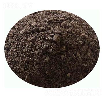 發(fā)酵純羊糞有機肥-康東肥業(yè)