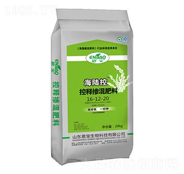 ��ጓ������16-12