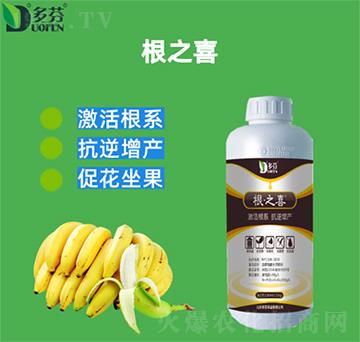 根之喜-多芬農(nóng)業(yè)