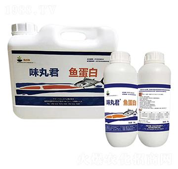 味丸君魚蛋白-旭日華櫻