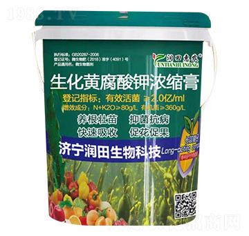 生化黃腐酸鉀濃縮膏-潤田惠農(nóng)-潤田生物