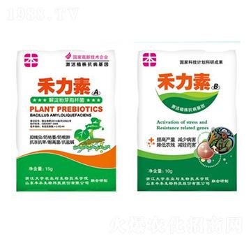 蔬菜瓜類抑線蟲肥料-豐本生物