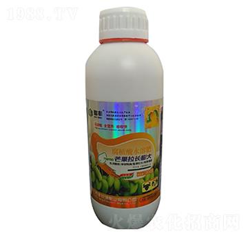 芒果拉長膨大-豐收源