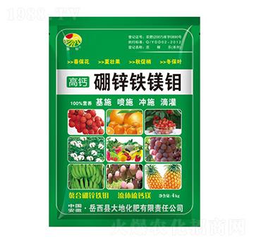 4kg���\�F�V�f-���(bi��o)-��ػ���