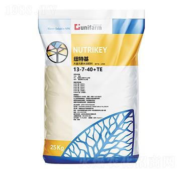 土耳其原裝進口13-7-40+TE-海之星