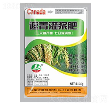 水稻返青灌漿肥-綠露生物