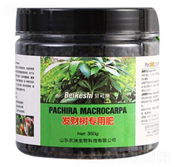 發(fā)財樹專用肥料-貝可施-農泱生物