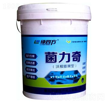 �ָ������-������-�G�ķ�