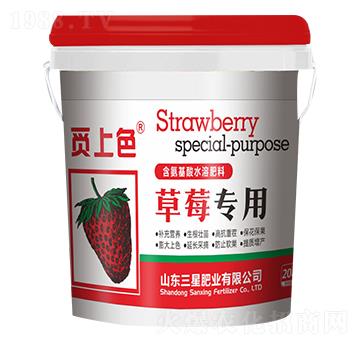 草莓專用含氨基酸水溶肥料-覓上色-三星肥業(yè)