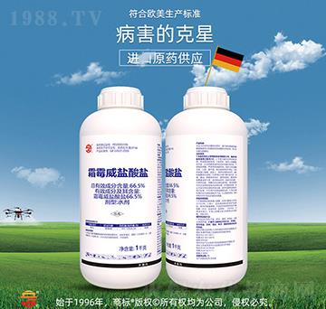 66.5%霜霉威鹽酸鹽-立占農(nóng)資