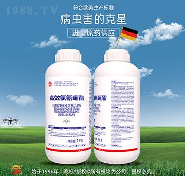 10%��Ч�������-��ռ�r(n��ng)�Y