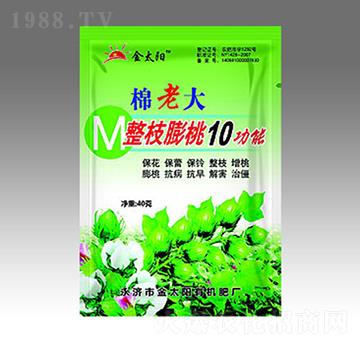 ���ϴ���֦����10����-�������