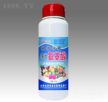 �~�F�\���Ԫ������-�������