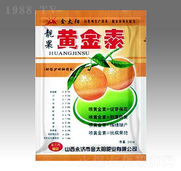 �n���S����-�������