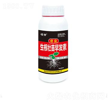 ����������l(f��)�أ�ƿ��-�T��-�������