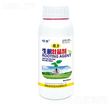 �������焩-�������