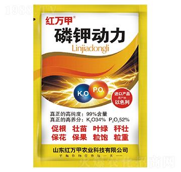 磷鉀動力-紅萬甲