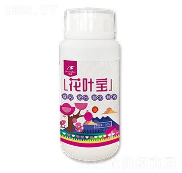 花葉寶-寶田肥業(yè)