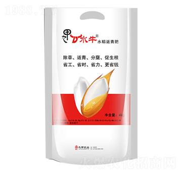 水稻返青肥-九甲農(nóng)業(yè)