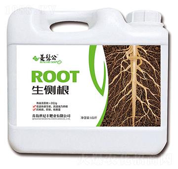 生側(cè)根-美髯公-世紀(jì)豐