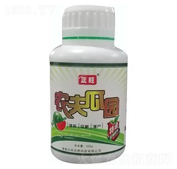 �r(n��ng)�o(w��)�ψ@-�����r(n��ng)��