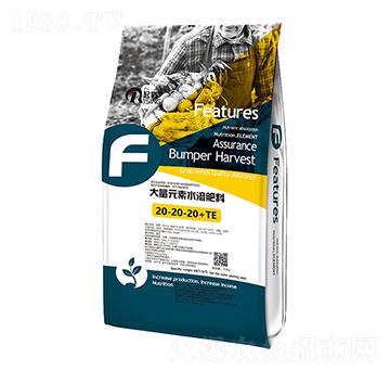 大量元素水溶肥料20-20-20+TE-起彩-英芳