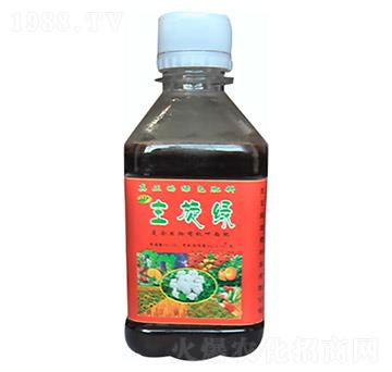 生物有機(jī)葉面肥-主旋綠-煜宏鷹
