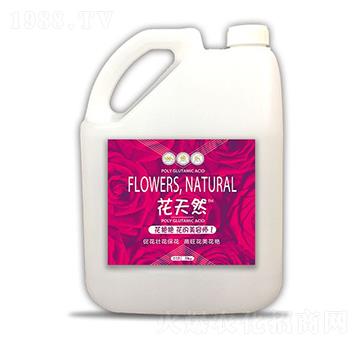 5kg花天然-和天然