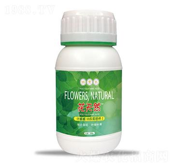 250g花天然葉媚媚-和天然