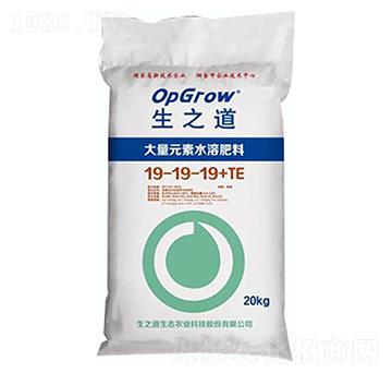 大量元素水溶肥19-19-19+TE-生之道