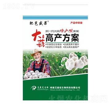 大蒜高產(chǎn)方案-肥芭盛果-愛(ài)森克
