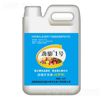 ����1̖(h��o)-ʢ������