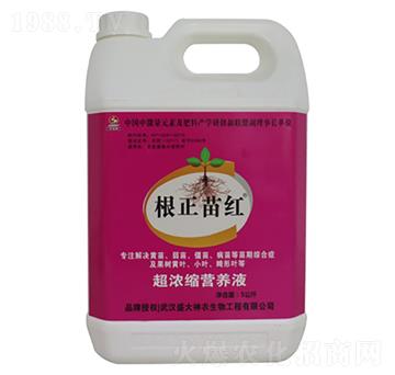 ����s�I�B(y��ng)Һ-������t-ʢ������