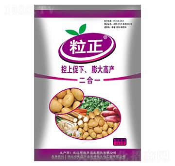 �K�o��(zhu��n)����-����-ʢ������