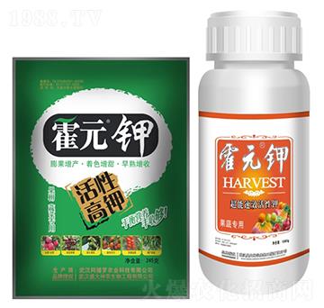 ��Ԫ⛹�����-ʢ������