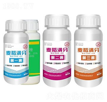 �����M(m��n)���ײ�ƿ�b-ʢ������