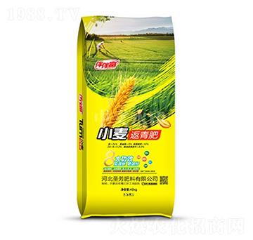 С�������-��鸻-���r(n��ng)����