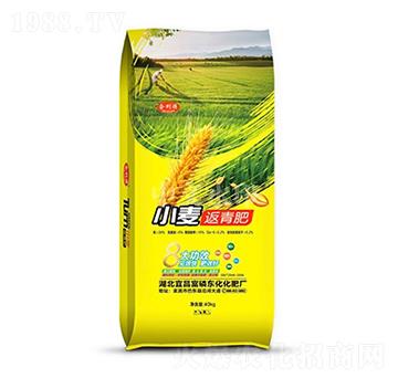 ����ԴС�������-���r(n��ng)����