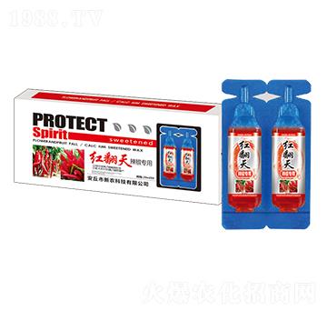 �t���죨�������ã�-���r(n��ng)