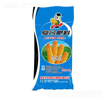 ���׌����L(zh��ng)Ч�͏�(f��)�Ϸ���24-12-10-�S�ղ�ʿ-���r(n��ng)