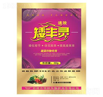 蔬菜作物專(zhuān)用-矮豐靈-明科生物