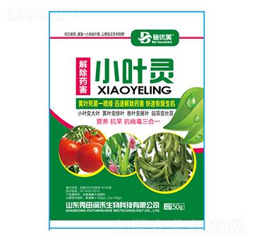 小葉靈-秀田潤(rùn)禾