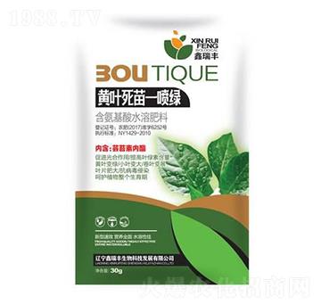 �S�~����һ���G-�����S