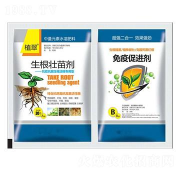 �������焩-�����S